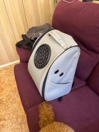 Transportin perro pequeño o gato