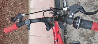 Bici 20 pulgadas
