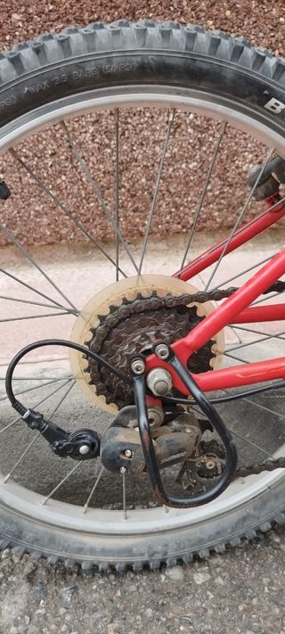 Bici 20 pulgadas
