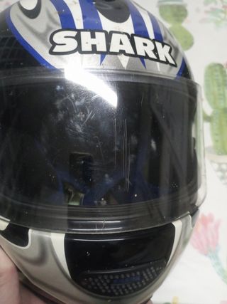 Casco Shark