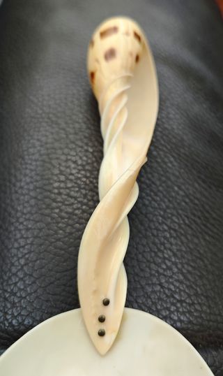 Grande cucchiaio 27 cm a conchiglia