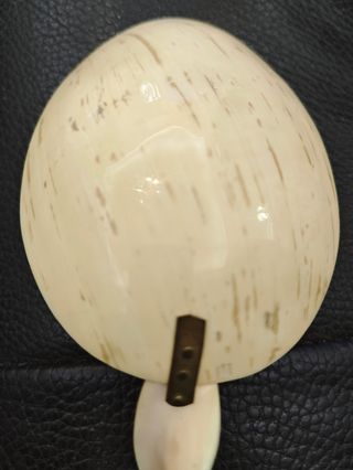 Grande cucchiaio 27 cm a conchiglia