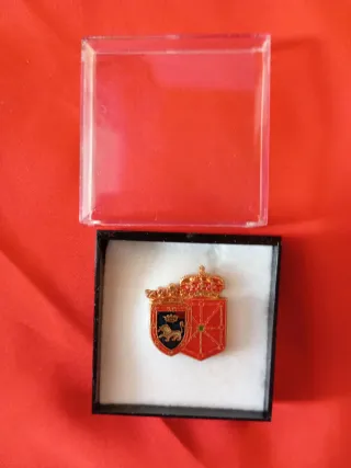 5 pins o 1 con escudo de navarra y Pamplona