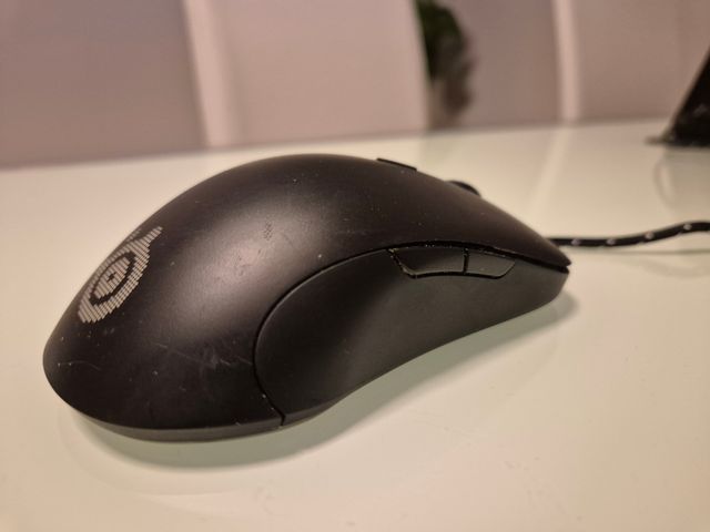 Raton Gaming Profesional