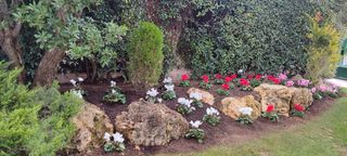 Jardinería y mantenimiento