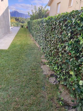 Corte y mantenimiento de césped