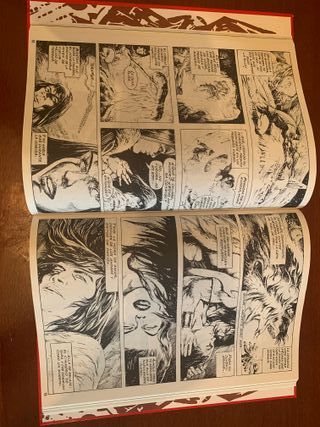 LA ESPADA SALVAJE DE CONAN EDICIÓN COLECCIONISTA