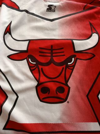 Camiseta Nhl