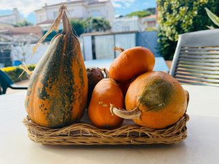 Chalet en venta en Segur de Calafell en Calafell