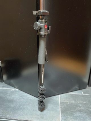 Monopiede Manfrotto con testa