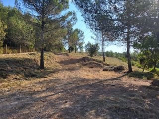 Limpieza de bosques