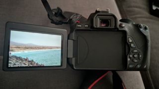 CAMARA CANON EOS 700D