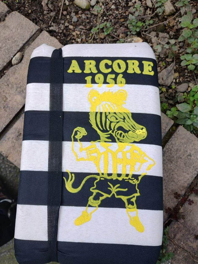 Cuscinetto Juventus vintage