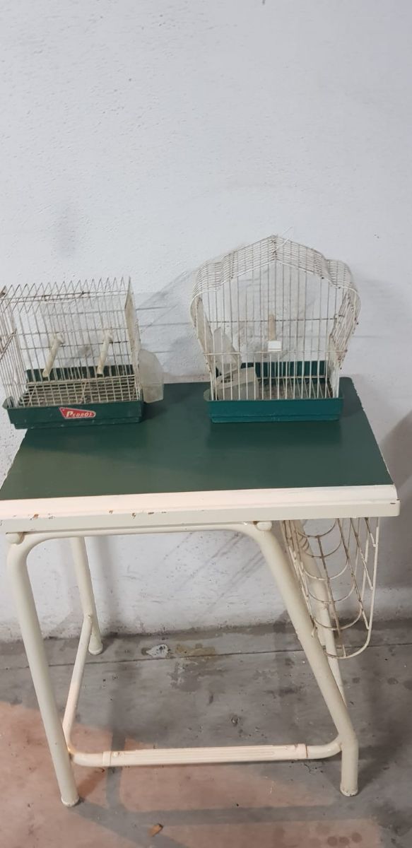 Vendo gabbie per uccelli