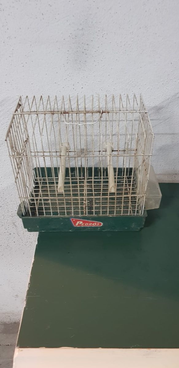 Vendo gabbie per uccelli