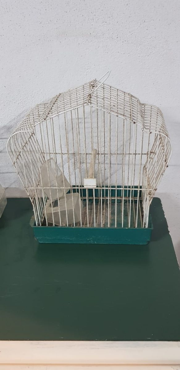 Vendo gabbie per uccelli