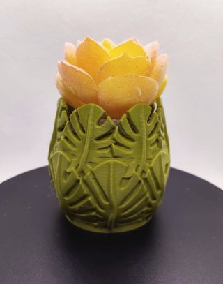 Vaso foglie