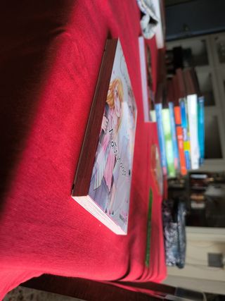 "LIVING-ROOM MATSUNAGA-SAN N. 1"