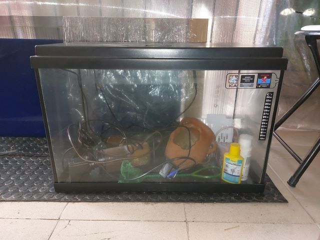 Chollo Acuario completo de 60 litros