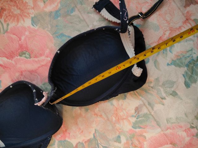 Sujetador Winnie The Pooh