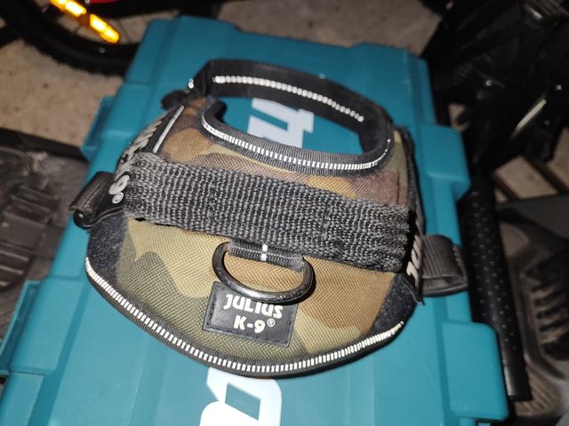 Arnés julius K9