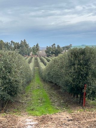 Arriendo / Alquilo finca agricola