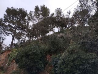 Terreno en venta en Tossa De Mar en Tossa de Mar