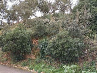 Terreno en venta en Tossa De Mar en Tossa de Mar