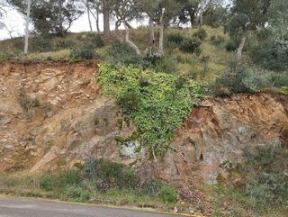 Terreno en venta en Tossa De Mar en Tossa de Mar