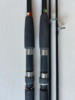 Canne da pesca