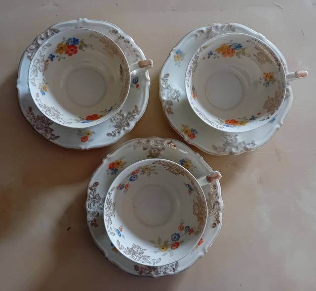 Tazza in porcellana Schwarzenhammer della Baviera