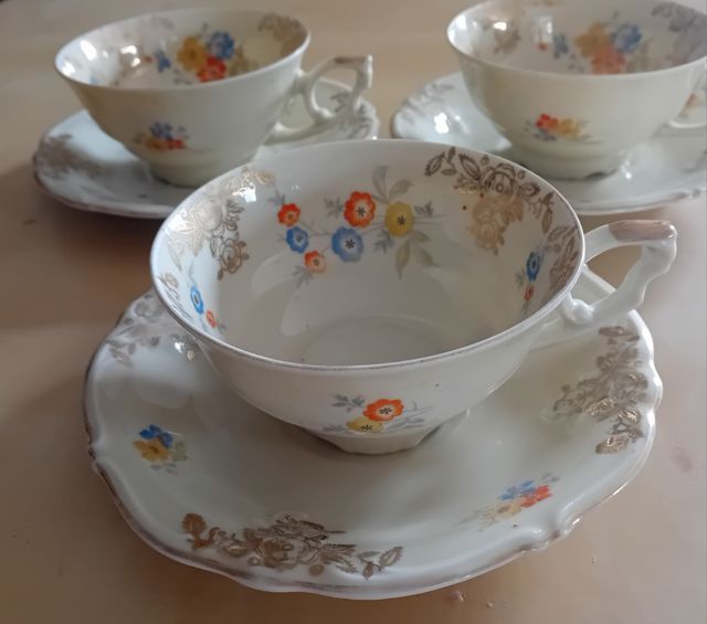 Tazza in porcellana Schwarzenhammer della Baviera