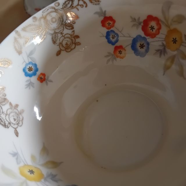 Tazza in porcellana Schwarzenhammer della Baviera