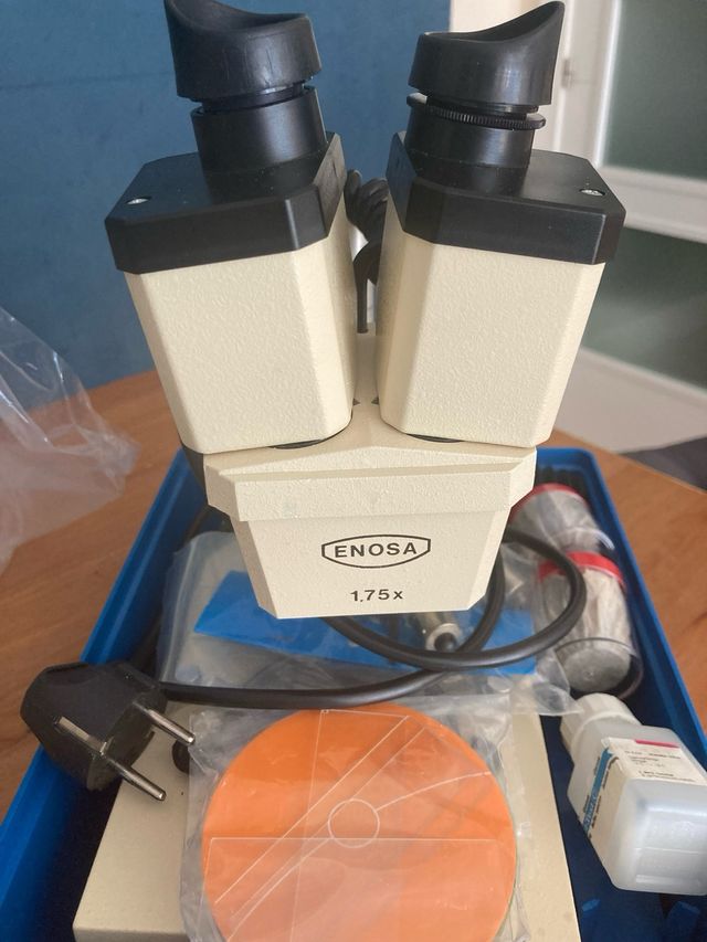 Stereomicroscopio 20x