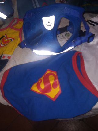 Vestidos mascotas