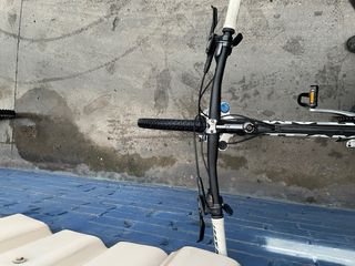 Bicicleta Massi Team Replica T.19