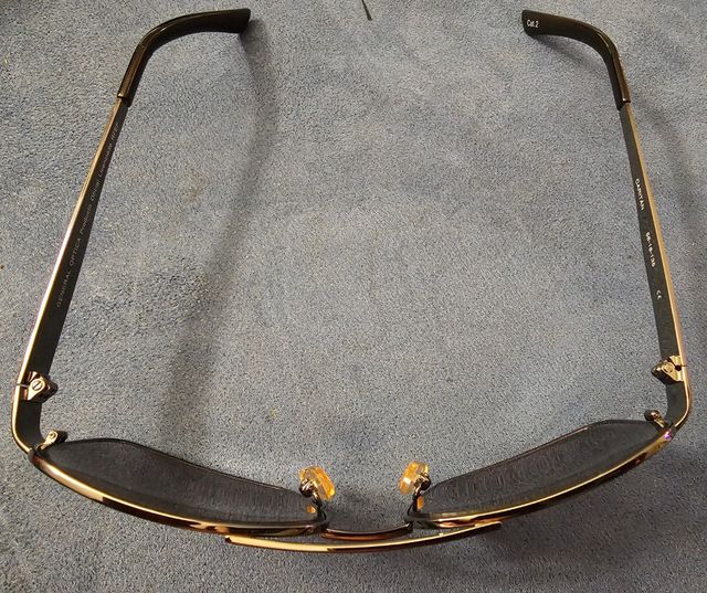 Gafas de sol mundial 2010