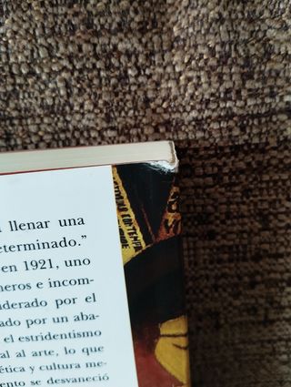 La aventura estridentista Elissa J. Rashkin
