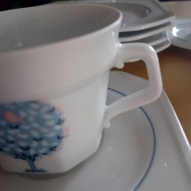 Stoviglie Villeroy Boch Galo Birddance