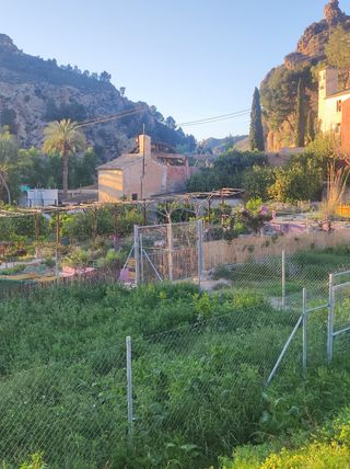 Huerto en venta en Abaran Murcia