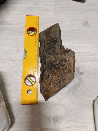Roca Acuario
