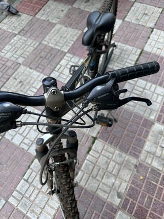 Bicicleta bh overX