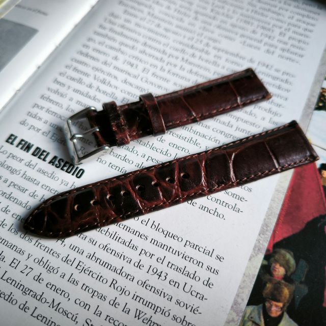 Correa de reloj ruso Poljot