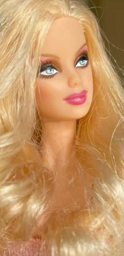 Muñeca Fashion Barbie modelo. Edicion especial