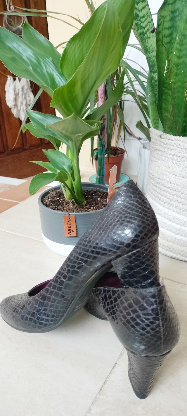 Zapatos de salón PIEL Locales