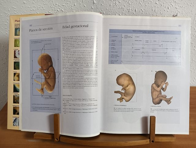 Grand Atlas de la Vida Antes de Nacer (Spanish Edition)