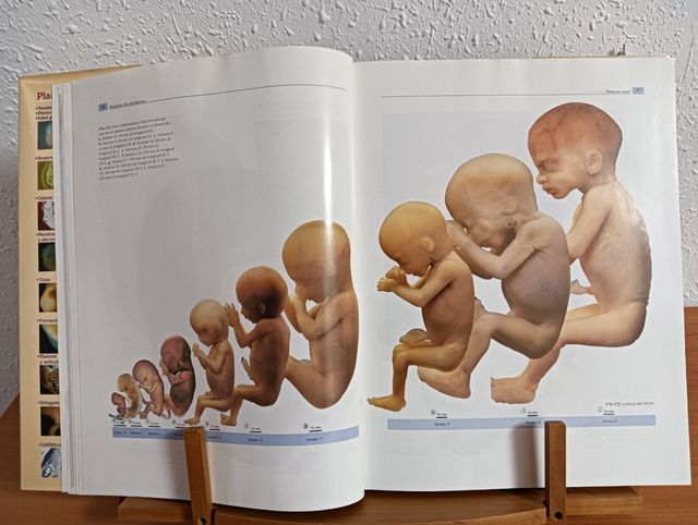 Grand Atlas de la Vida Antes de Nacer (Spanish Edition)