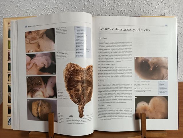 Grand Atlas de la Vida Antes de Nacer (Spanish Edition)