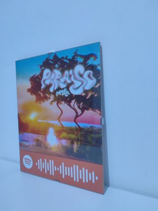 Cuadro Álbum de Música