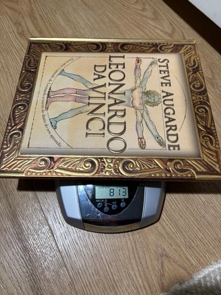 Leonardo da Vinci InfantilXuvenil Gallego